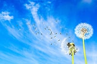 sky-small.jpg